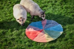 Rugs^Donna Wilson Pie Chart Rug